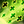 9.png