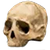 focus5.png